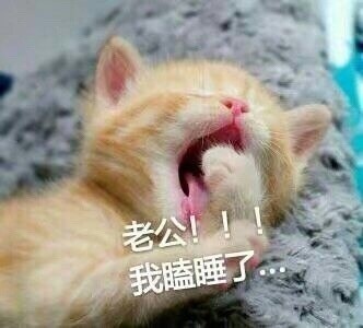 一组喊老公表情包!萌翻了,你是吗 #情感
