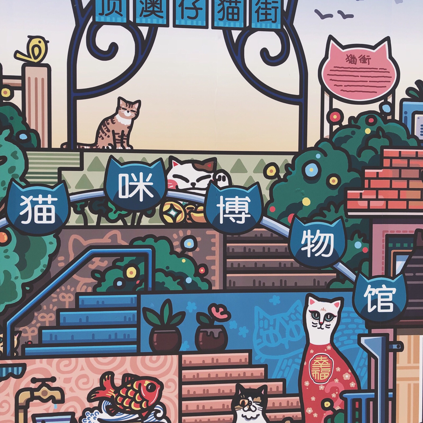 厦门 猫街