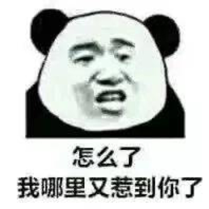 熊猫表情包