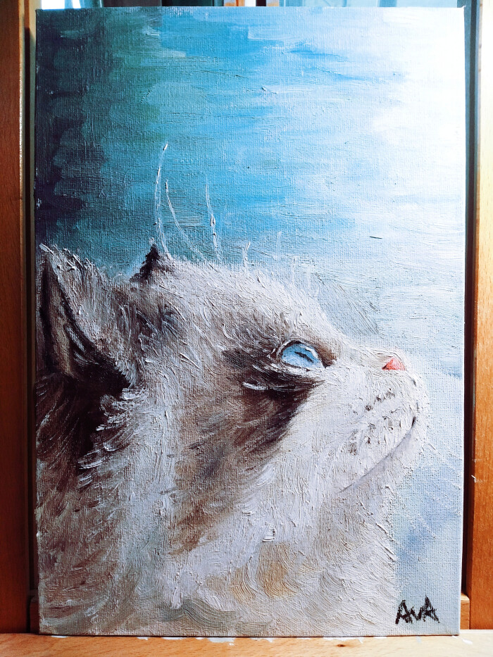 第一次尝试油画,一只脏脏的布偶猫