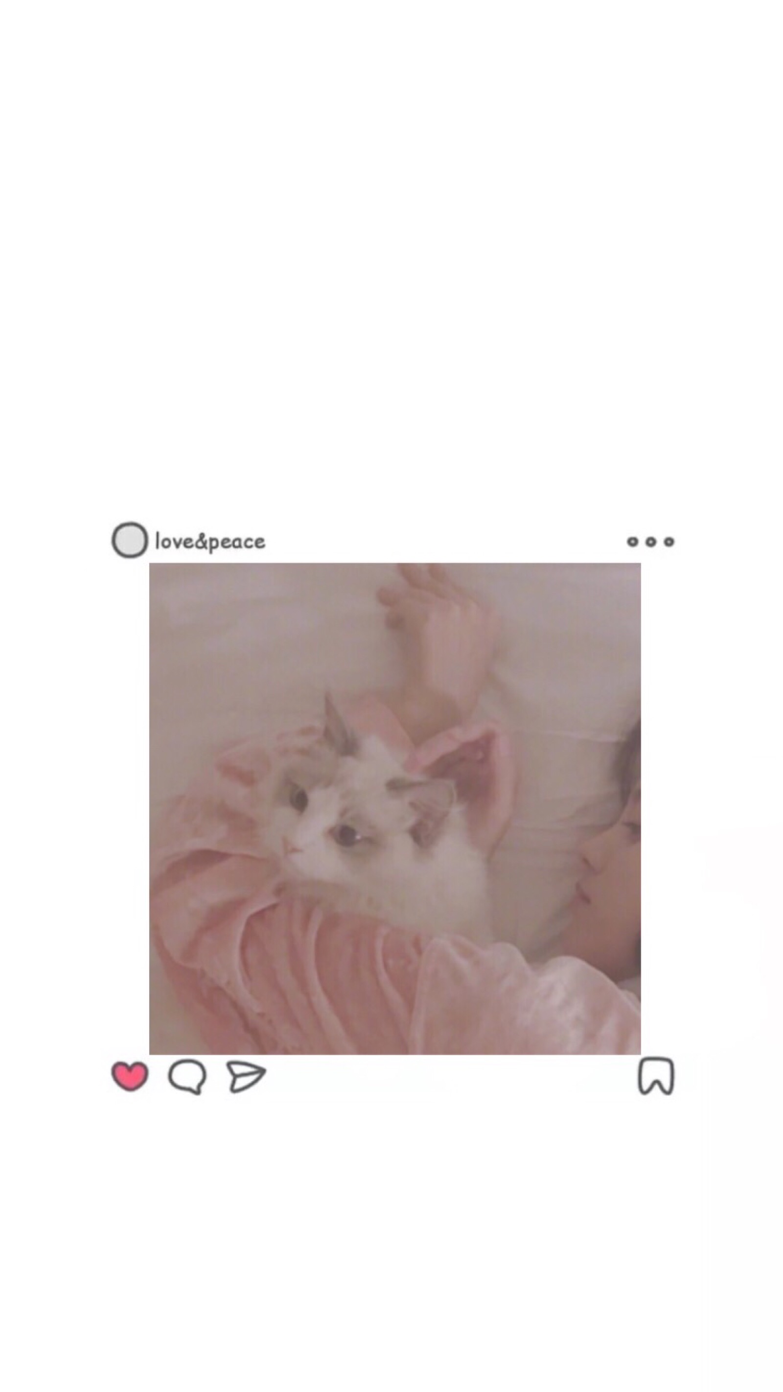 ins 壁纸 男 部位 少女