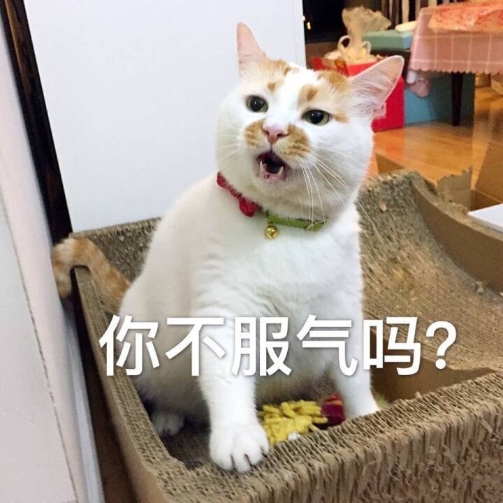 楼楼表情包