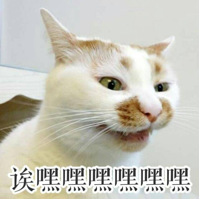 楼楼表情包