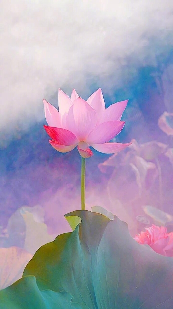 纵然繁华三千,看淡即是云烟,任凭烦恼无数,想开便是晴天.