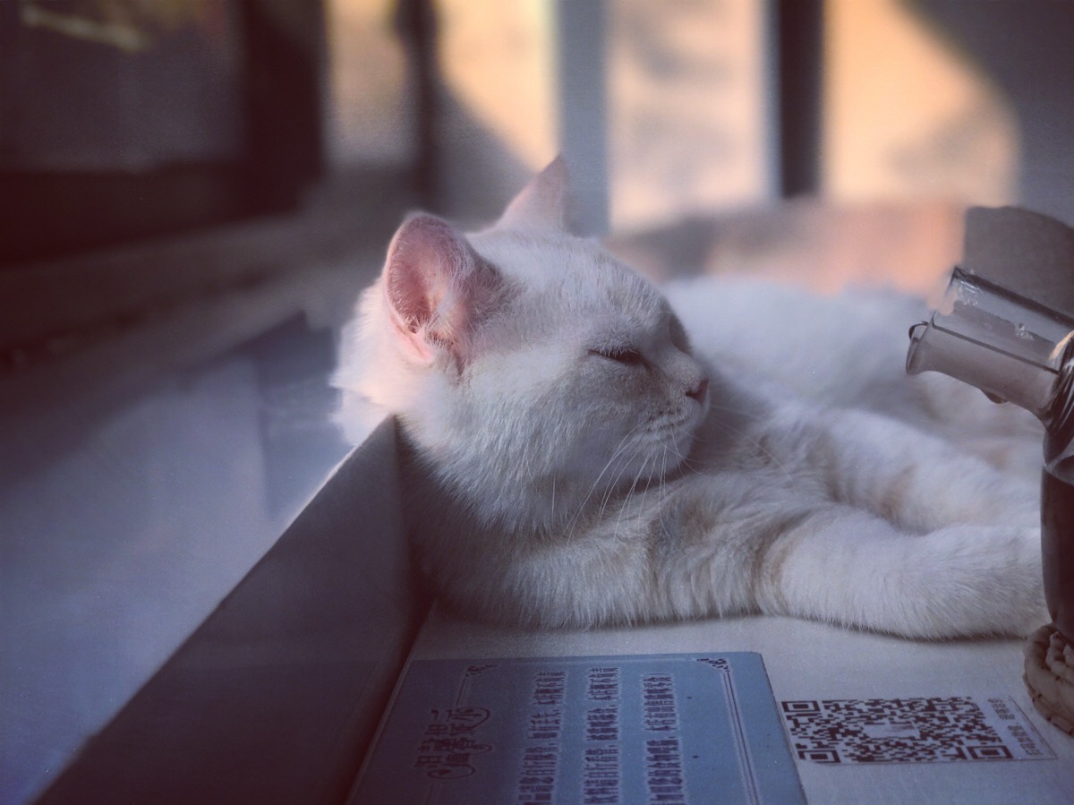 眯一会儿 堆糖网