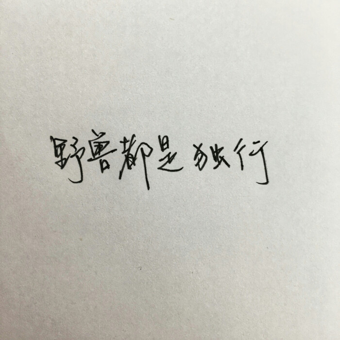 励志文字 壁纸 手写