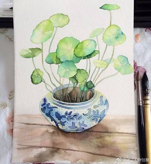 水彩干货:水彩和彩铅画,可爱的绿植铜钱草