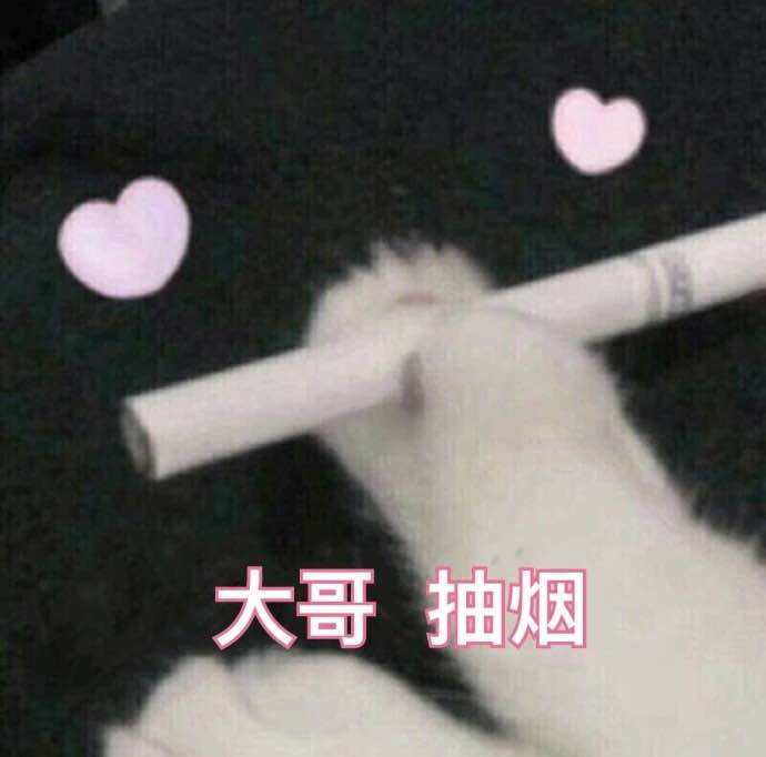 表情包~木啊