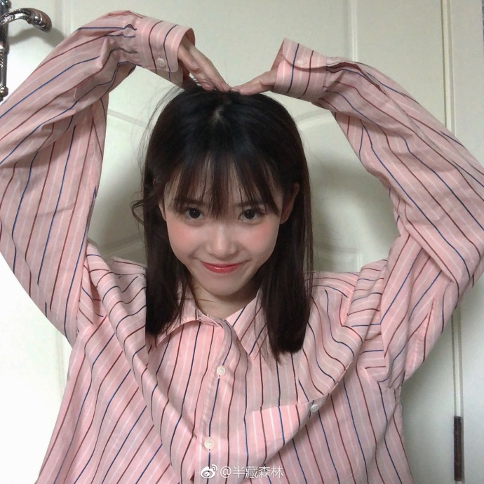 半藏森林