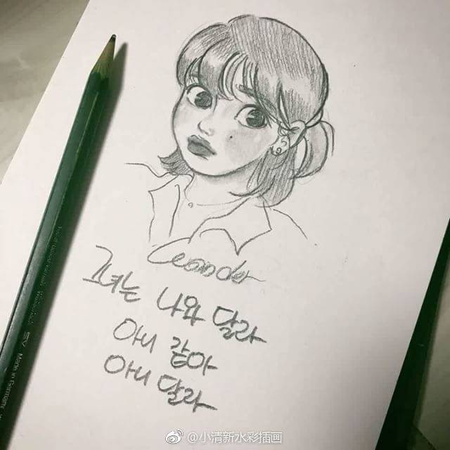 iu 手绘 李智恩 铅笔画