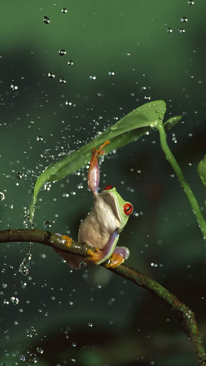下雨了 