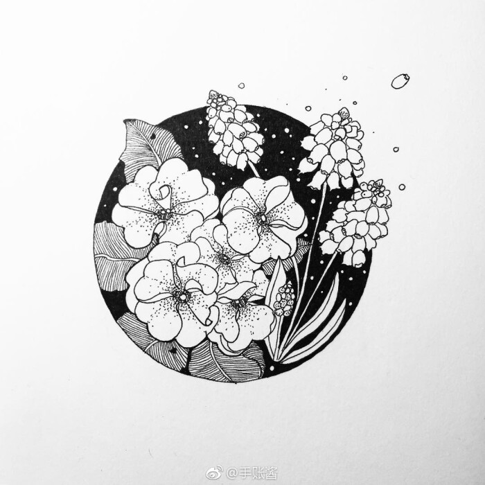 花卉黑白画