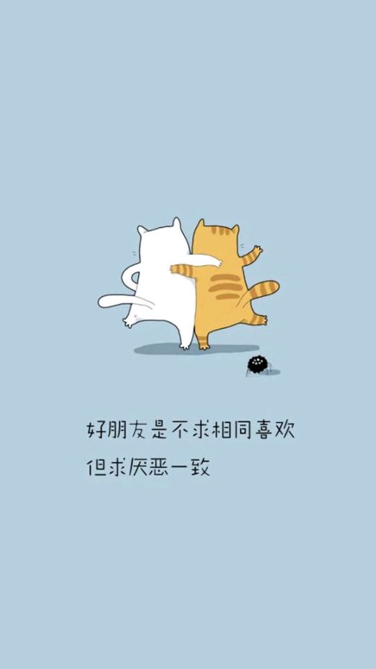 猫咪 文字壁纸