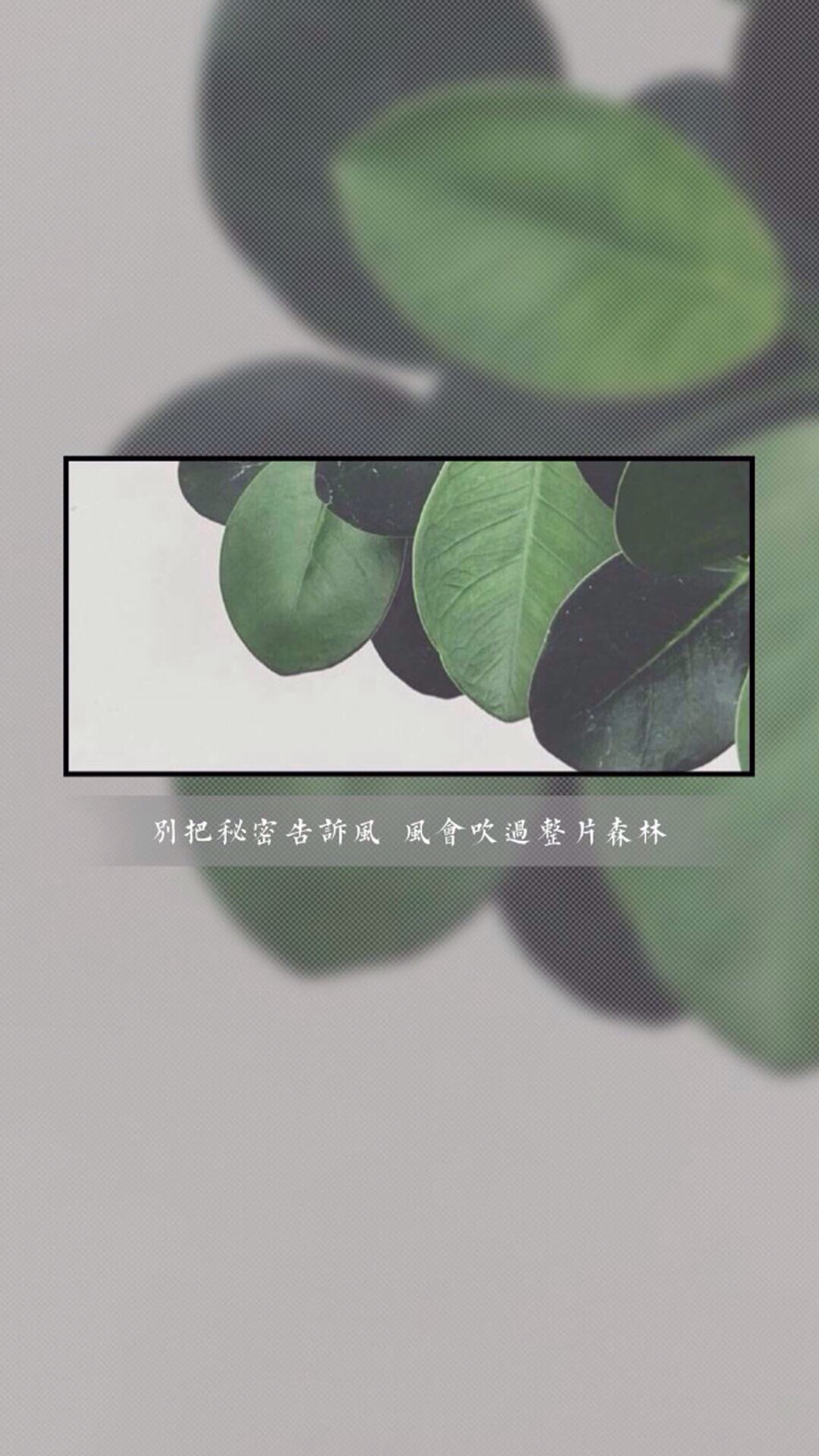 壁纸//锁屏//背景图//朋友圈背景图