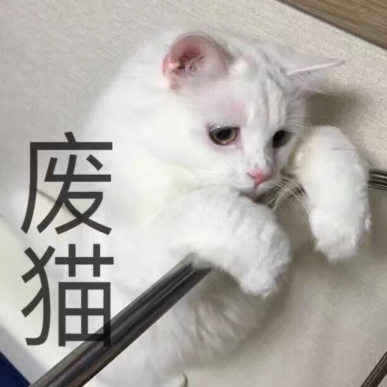 猫咪表情包 禁止二传谢谢