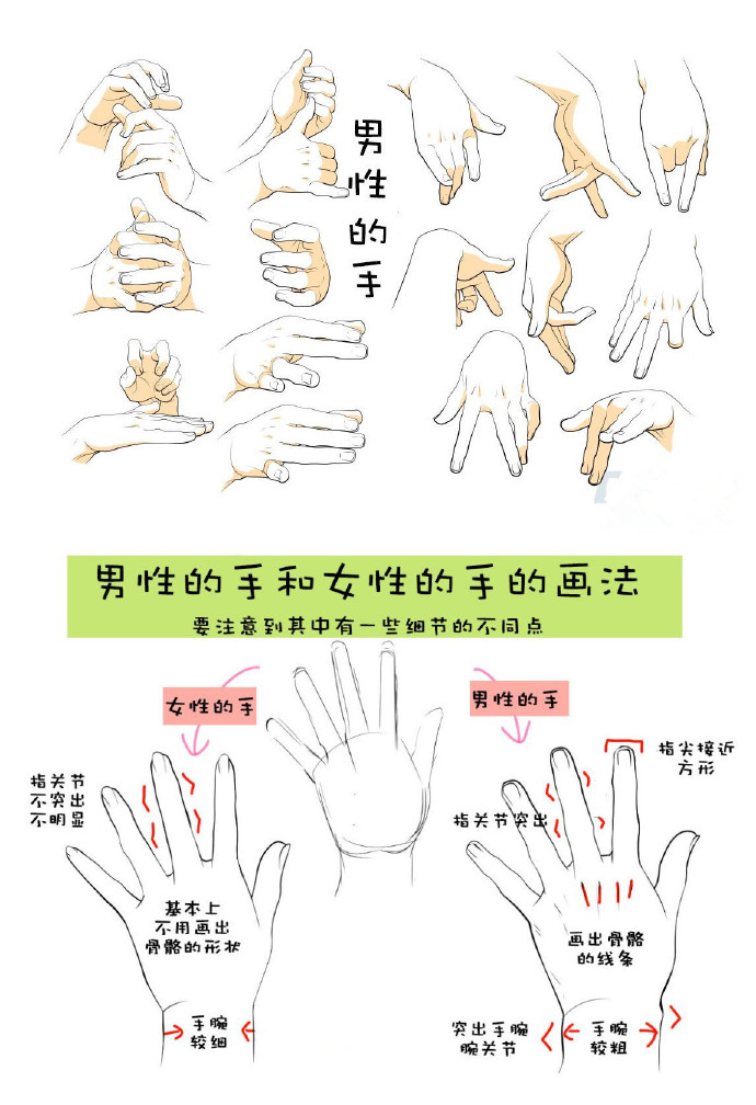 画男生的手和女生的手,在做各种不同的动作时,会体现出一些细节的区别