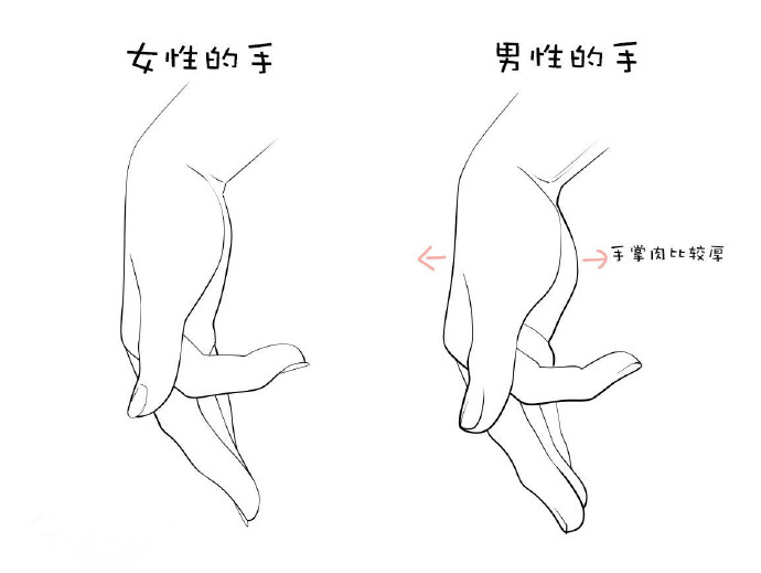 画男生的手和女生的手,在做各种不同的动作时,会体现出一些细节的区别