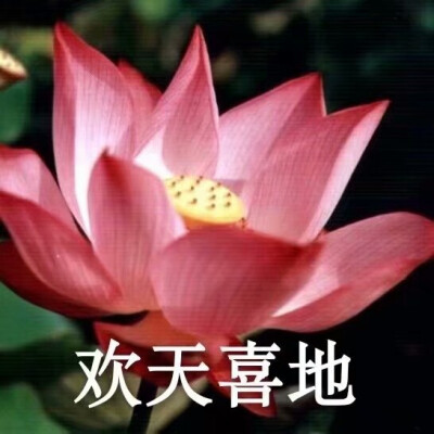 花花头像