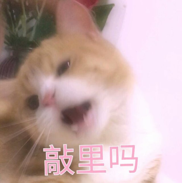 2018年8月10日 20:09   关注  表情包 搞笑 萌宝 哈哈哈 评论 收藏
