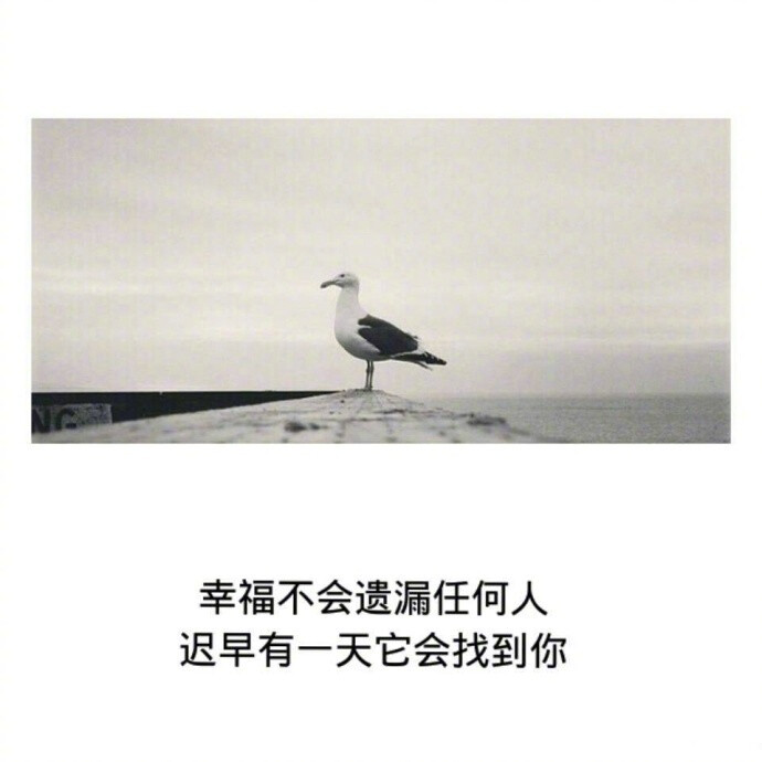 查看源网页