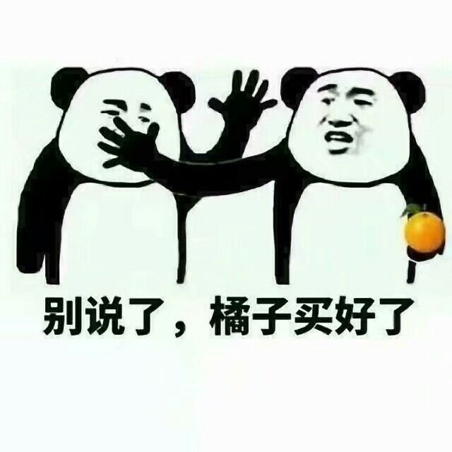 别说了 橘子买好了熊猫头