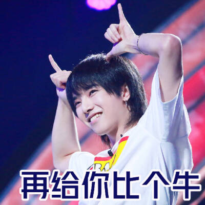 表情包华晨宇