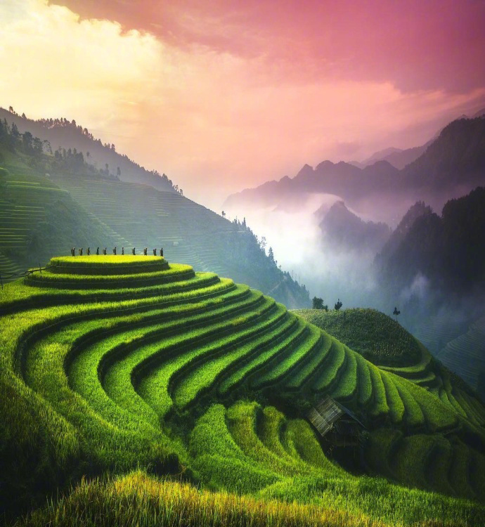 越南最美梯田mu cang chai,神奇的大自然 |摄影师cumacevikphoto