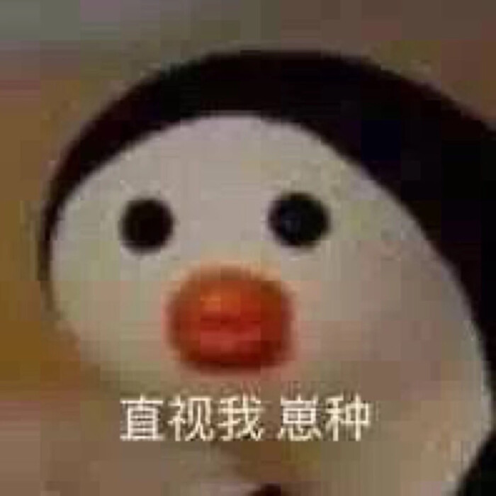 沙雕头像