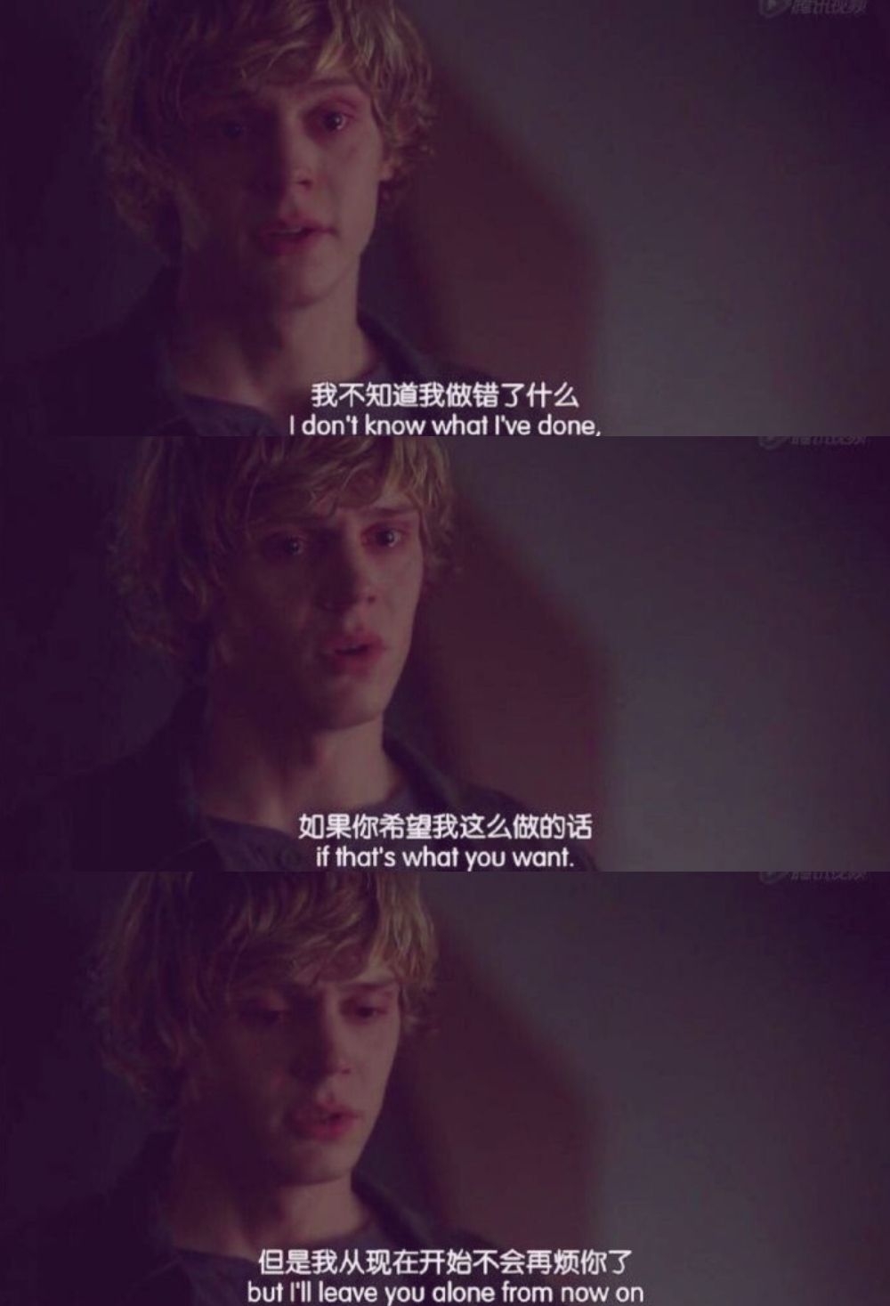 去吧,放你自由