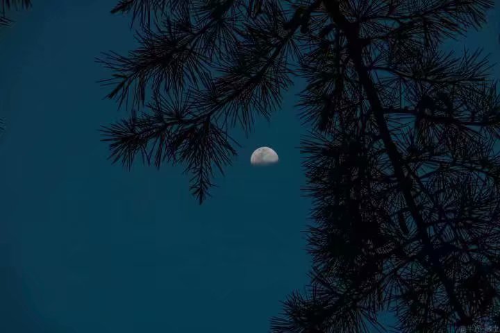 山月不知心里事 夜空 天空 月亮