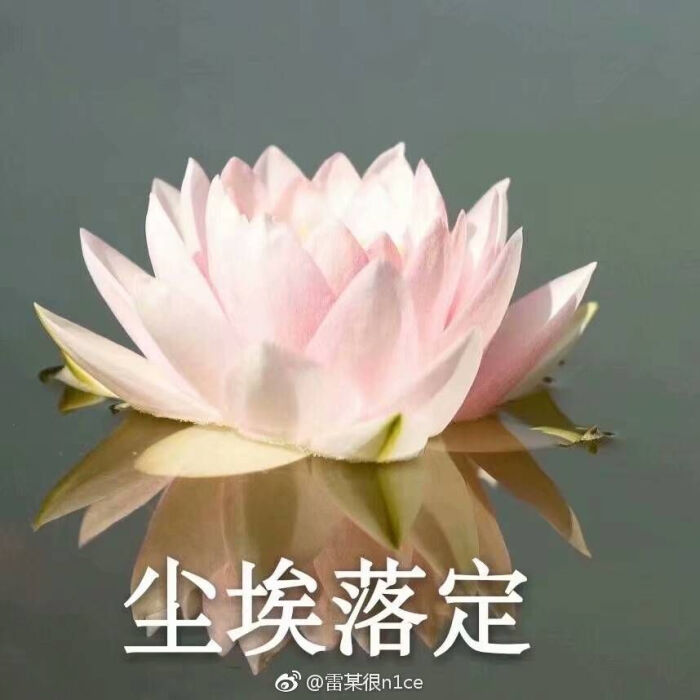 哈哈哈哈土味头像
