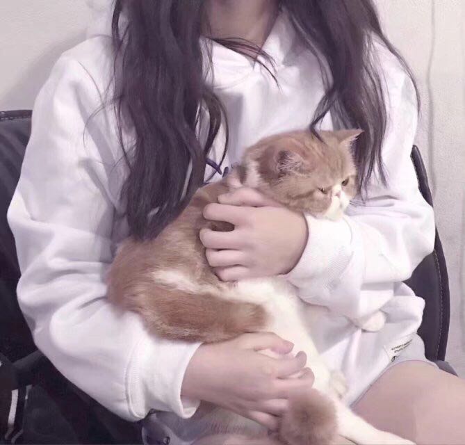 女生局部头像