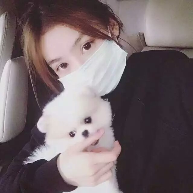 女生头像 小动物