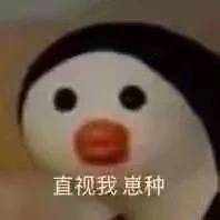 直视我 崽种