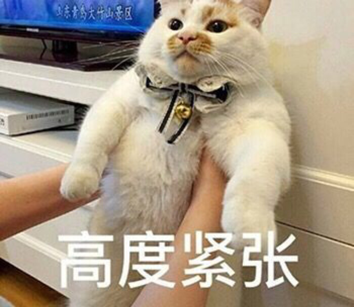 情侣表情包