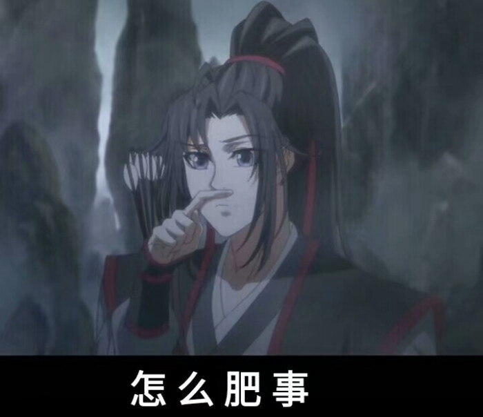 魔道祖师动漫表情包
