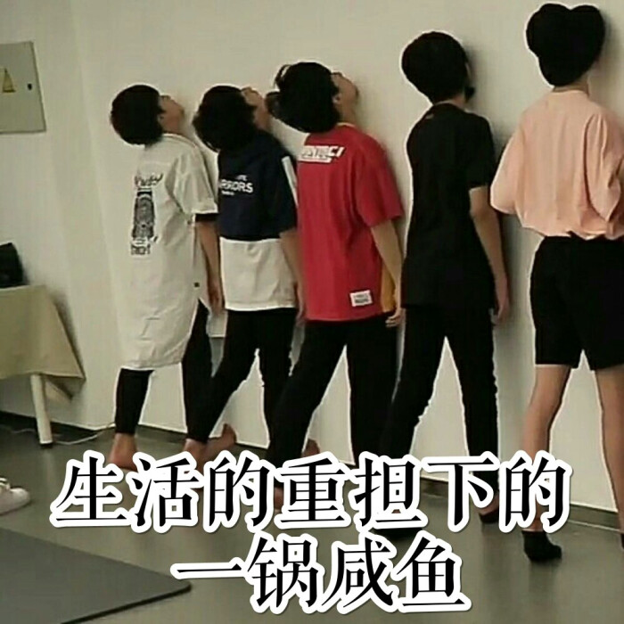 tf家族表情包