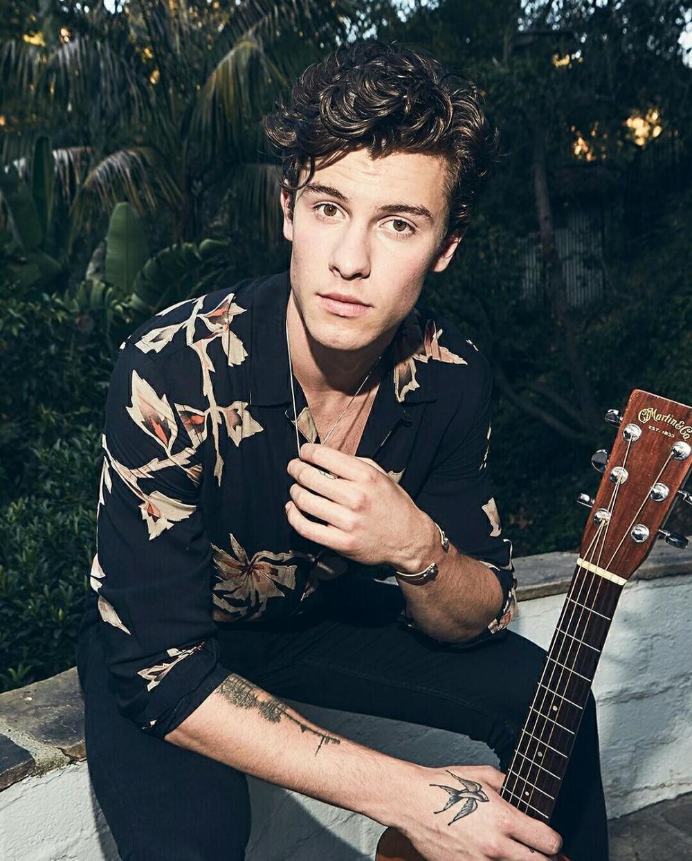 shawn mendes