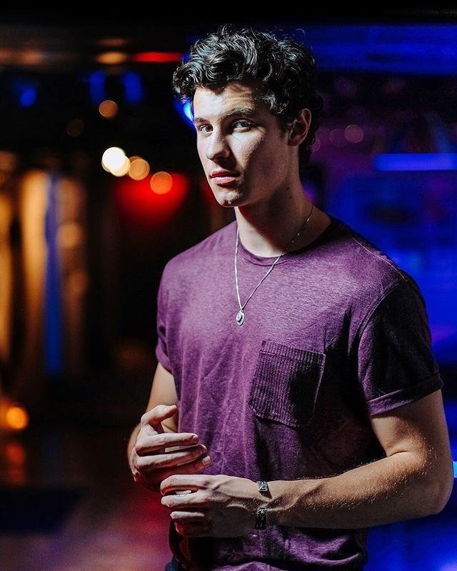 shawn mendes