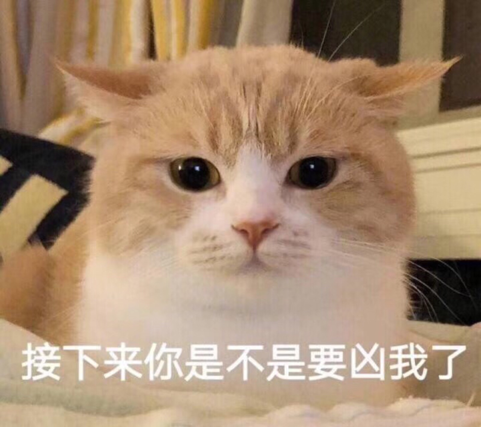 情侣表情包