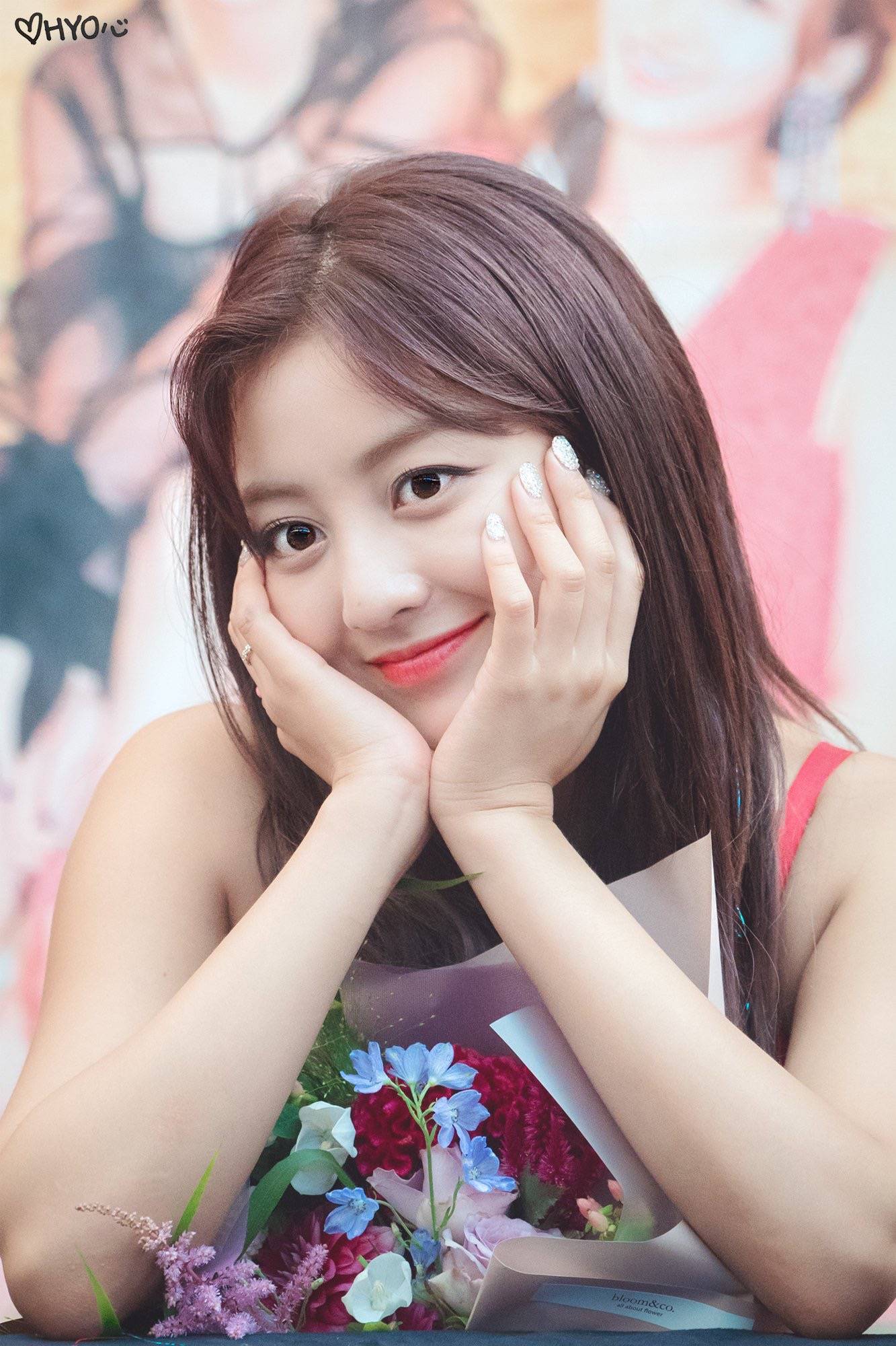 朴志效 jihyo twice成员