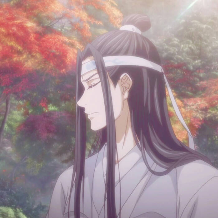 蓝忘机 魔道祖师 余弦自截