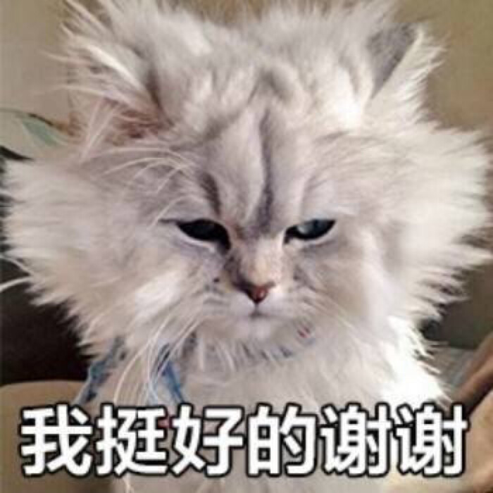 沙雕头像