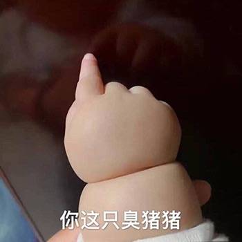 表情包[你这只臭猪猪]
