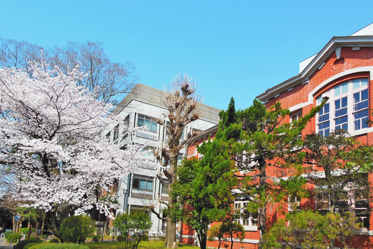 日本的大学校园风景