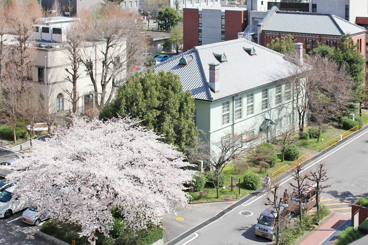 日本的大学校园风景