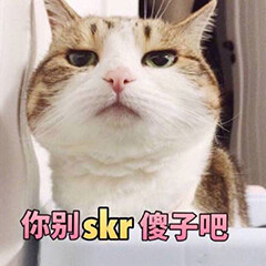 猫咪表情包