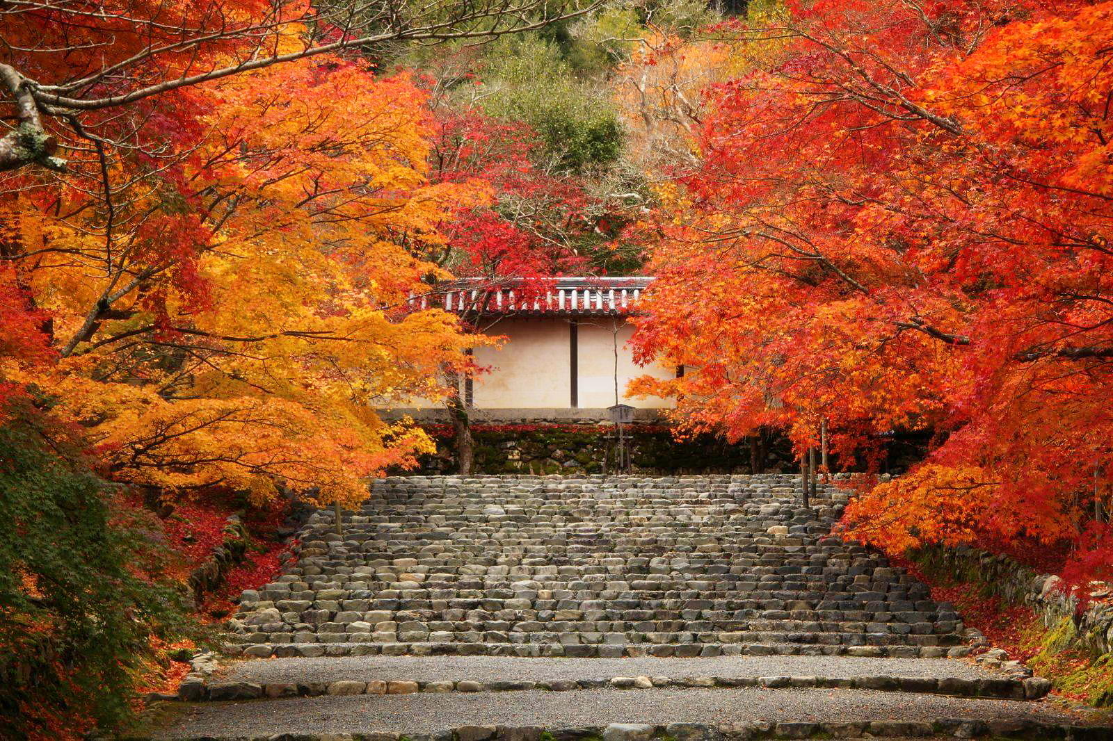 素材-日本风景-秋天
