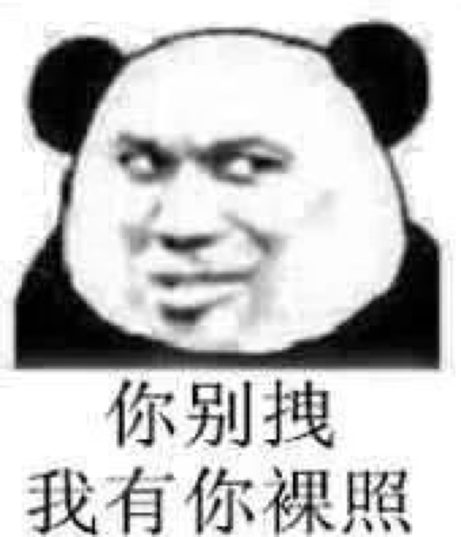熊猫头表情包合集 蘑菇头 宠物 开车 斗图 表情