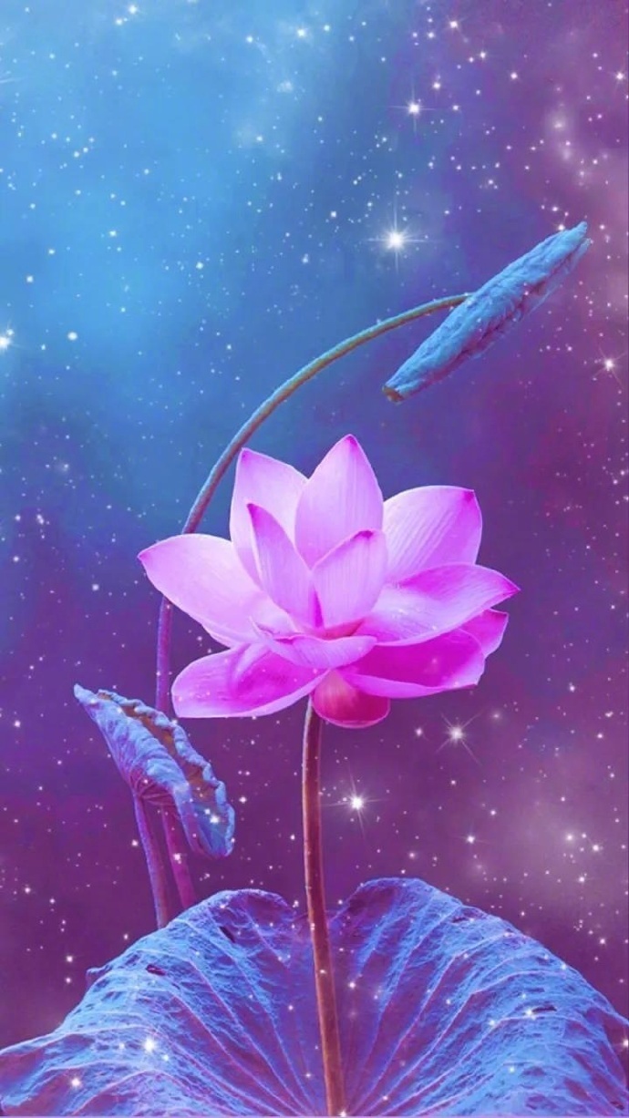 纵然繁华三千,看淡即是云烟,任凭烦恼无数,想开便是晴天.